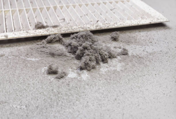 Best HVAC System Cleaning  in Breinigsville, PA