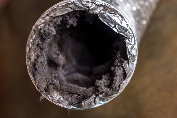 Best Local Air Duct Cleaning Services  in Breinigsville, PA
