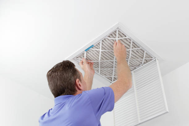 Best Air Duct Mold Removal  in Breinigsville, PA